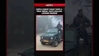 Surya Kumar Yadav Takes A 'Wild' Safari Ride At Jaipur's Jhalana Leopard Reserve