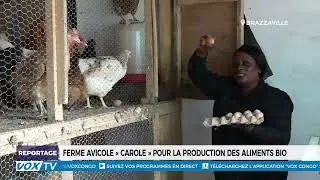 Ferme avicole &laquo;&nbsp;Carole&nbsp;&raquo; pour la production des aliments bio