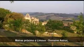 Video Domaines Paul Mas (Portugues)
