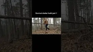 Epic Hand-Built Survival Shelter Deep in the Woods #bushcraft #primitivebuild #survivalshelter