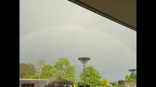 Monotom Rainbow