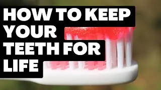 How to Keep Your Teeth for LIFE - Top 10 tips