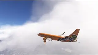 Flight sim