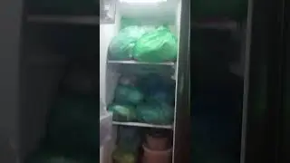 বড় ননদের বাসায় কি কি করলাম 