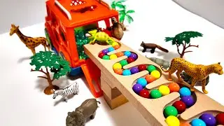 Marble Run Run Race ASMR 14 #marblerunrace #marblerun #marble #asmr #soothingsounds #haba#マーブルランレース
