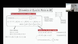 S&eacute;batien Neukirch (D'Alembert) - Elastic Rods made easy with a Noether invariant
