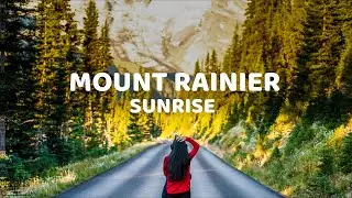 Sunrise Point : Mt Rainier National Park