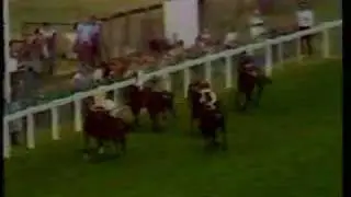 Troy - 1979 King George VI & Queen Elizabeth Stakes
