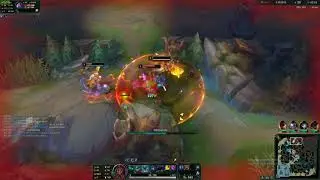 morde 1v9