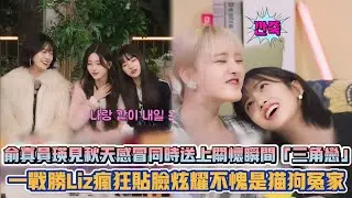 IVE俞真員瑛見秋天感冒同時送上關懷瞬間陷入「三角戀」 一戰勝Liz瘋狂貼臉炫耀不愧是貓狗冤家XD| [K-潮流]