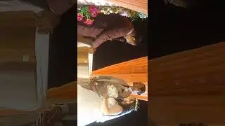 International Marriage 22.11.2025 #dolphinbeachresort&spa,mandarmoni,westBengal 