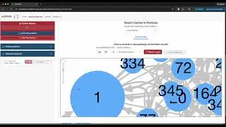 scGRNdb Network Browser Full Tutorial