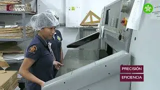 &iexcl;Bienvenidos al emocionante mundo de la impresi&oacute;n offset en el CDTI!