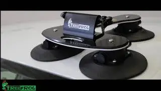 TreeFrog Modelo Pro 1 VicSports  VO Cast