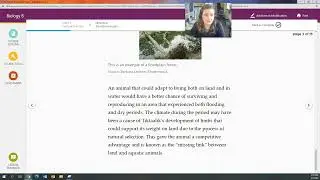 Biology B:  Unit 7, Lesson 9&ndash;Transitional Fossils