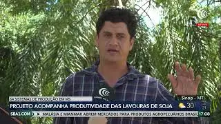 Projeto acompanha produtividade das lavouras de soja de MS