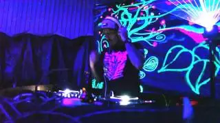 Neon Jungle by Nuphonic Rhythm