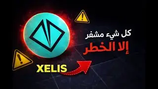 عملة XELIS  كل شيء مُشفّر&hellip; إلا الخطر
