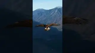 The moment Eagle fly to Sky #landing #aviation #lufthansa747 #flying #flight #facts #pilot