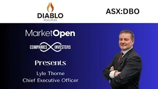 Компания Diablo Resources | Генеральный директор Лайл Торн о стратегии США в области критически в...