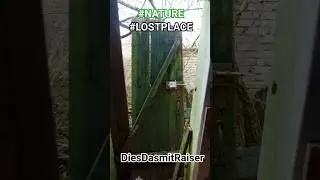 LOST PLACE: VERLASSENER RESTHOF, T&uuml;r aus dem Stall 🌿🏚 #shorts