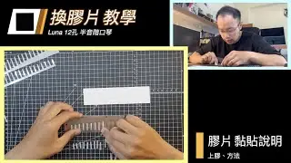 【中 EN cc】// 實錄 // 膠片更換不再困擾，一步步教你換完整把半音階口琴的膠片！