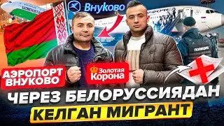 🚨АЭРОПОРТ ВНУКОВО😳ЧЕРЕЗ БЕЛОРУССИЯ🚨КЕЛГАН МЕГРАНТ НИМА БУЛЛИ😡#bilet#automobile#аэропорт#reels#рек￼