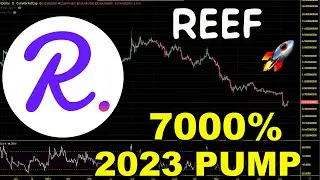 Reef Crypto Path To New All Time High. REEF Chart Analysis And Price Prediction 2022