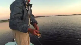 Captain Tom Van Horn Bass Fishing Lake Harney with a 9lb. Sunshine Bass