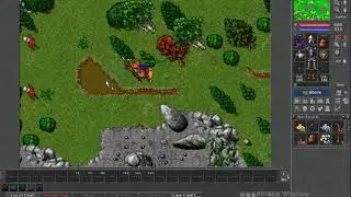 Taleon Online Rookgard - RESPAW DE ORC'S (orc, Orc spearman e Boss Othrod)