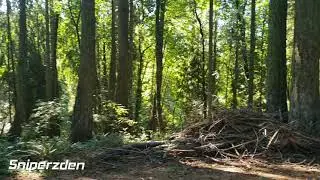 Fields in Motion: Sniperzden