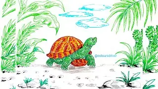 How to draw Tortoise by Sketch Pen | Tortoise Drawing | Turtle Drawing | Sketch Pen Drawing  #sketch