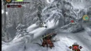 Monster Hunter tri- Dragonbone relics