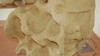 Olmec heads are VERY misunderstood