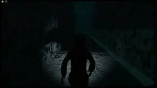 This horror game doesn't even looks like roblox..