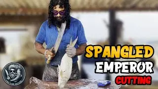 Spangled Emperor Fast Fish Cutting | Expert Cutting Skills