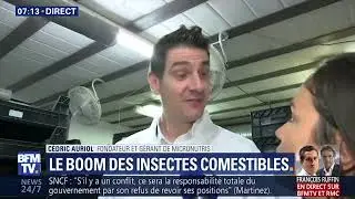 Live Micronutris BFM TV 14/03/2018