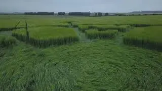 Crop Circles