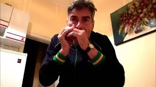 HOHNER Blues Harp-MS the best