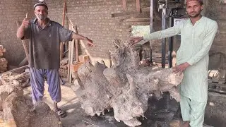Dangerous Tree Root Cutting | Massive Old Tree Root Cut by Saw Machine
