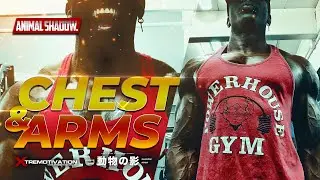 TOGOLESE MODEL - CHEST DAY AT GYM PARK 94 - BODYBUILDING MOTIVATION WORKOUT