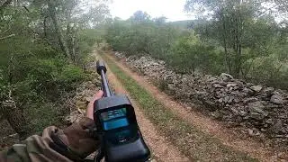 Dr&uuml;ckjagd auf Schwarzwild Battue au sanglier 🐗🔥