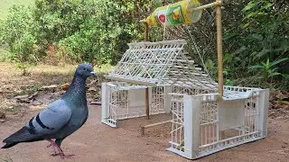 Easy Quick Bird Trap Make From Basket And Plastic Bottle - Creative Unique Pigeon Trap