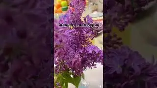 Вдохновение на каждый день: кулинарный канал Magic Cooking