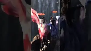 #itagyou
