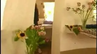 Eco-dome Introductory Video by calearth.org see  
