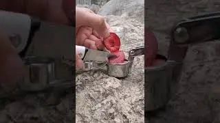 🍒🍒Fresh Plum Juice 😋😋 (Oddly Satisfying Video) #shorts