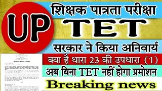 up tet latest news today|up tet update|up tet breaking news