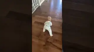 beb&ecirc; se arrastando