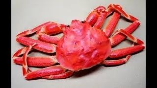 Top 10 Most Dangerous Crabs